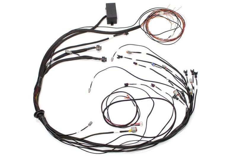 Haltech Elite 1000 Terminated Harness — Haltech