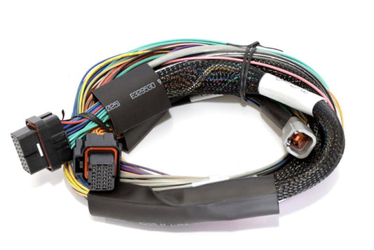 Haltech Elite 2500 Basic Universal Wire-In Harness w/o Relays or Fuses - 2.5m (8ft) — Haltech