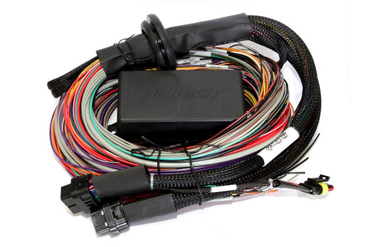 Haltech Elite 2500/2500 T Premium Universal Wire-In Harness - 2.5m (8ft) — Haltech