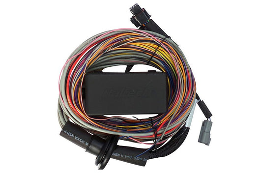 Haltech Elite 750 Premium Universal Wire-In Harness - 2.5m (8ft) — Haltech