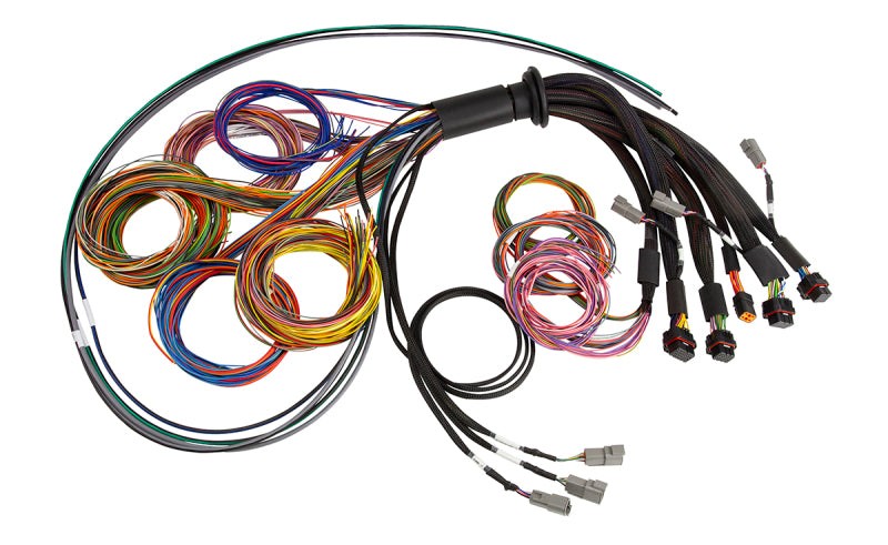 Haltech NEXUS R5 Universal Wire-In Harness - 2.5M (8ft) — Haltech