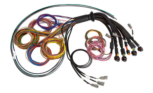 Haltech NEXUS R5 Universal Wire-In Harness - 2.5M (8ft) — Haltech