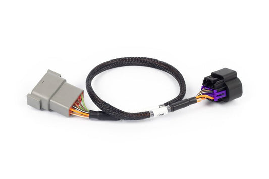 Haltech NEXUS Rebel LS 8-Pin DBW Adaptor — Haltech