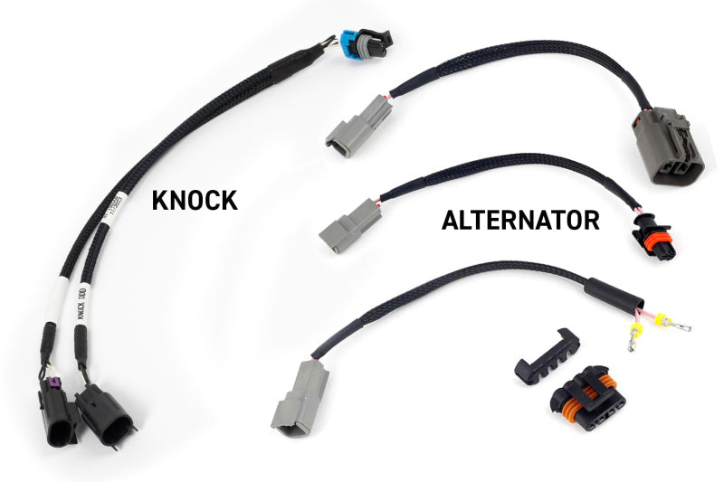 Haltech NEXUS Rebel LS Gen III Cable Throttle/EV1 Injectors/Manual Transmission — Haltech