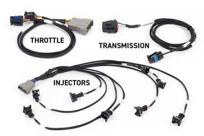 Haltech NEXUS Rebel LS Gen III Cable Throttle/EV1 Injectors/Manual Transmission — Haltech