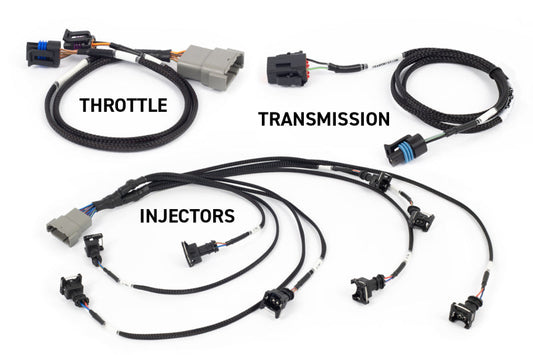 Haltech NEXUS Rebel LS Gen III Cable Throttle/EV1 Injectors/Manual Transmission — Haltech
