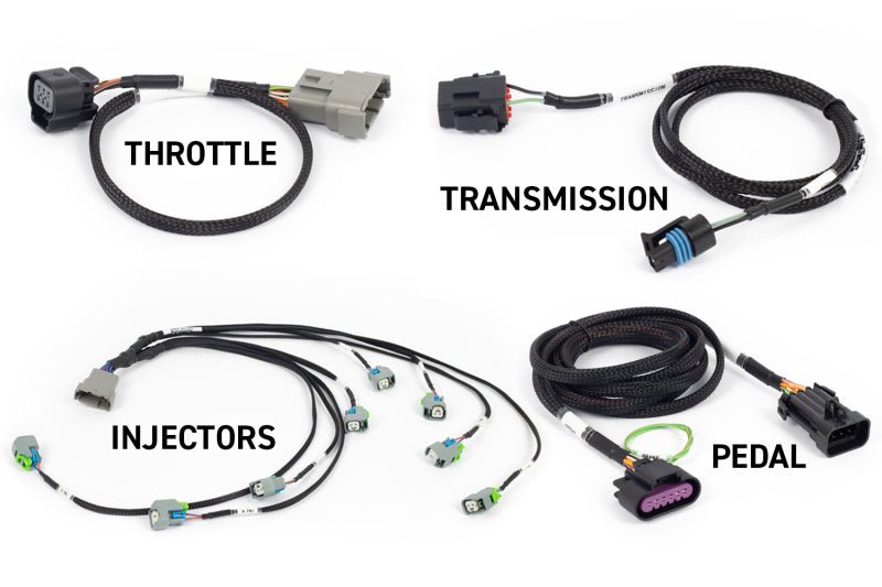Haltech NEXUS Rebel LS Gen IV 6-Pin DBW Throttle/EV6 Injectors/Manual Transmission — Haltech