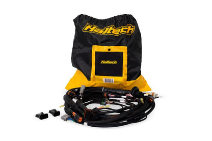 Haltech NEXUS Rebel LS Terminated Harness for ECU — Haltech