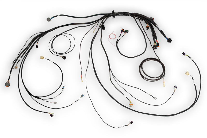 Haltech NEXUS Rebel LS Terminated Harness for ECU — Haltech