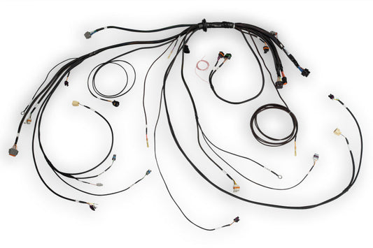 Haltech NEXUS Rebel LS Terminated Harness for ECU — Haltech