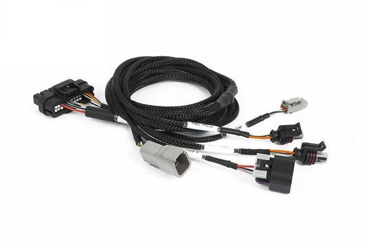 Haltech NEXUS Universal Plug-in IO Expansion Harness - 2.5m (8ft) — Haltech