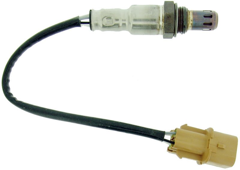 Plug and Play