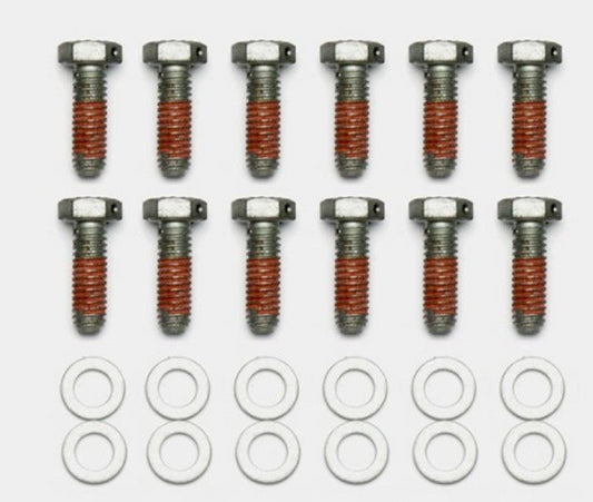 Wilwood Bolt Kit - 5/16-18 x 1.00 LG - 12 pk — Wilwood